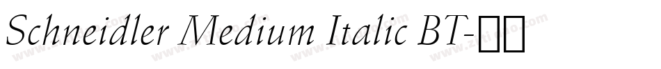 Schneidler Medium Italic BT字体转换